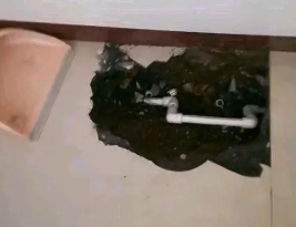 建阳卫生间测漏水多少钱 建阳卫生间测漏水多少钱